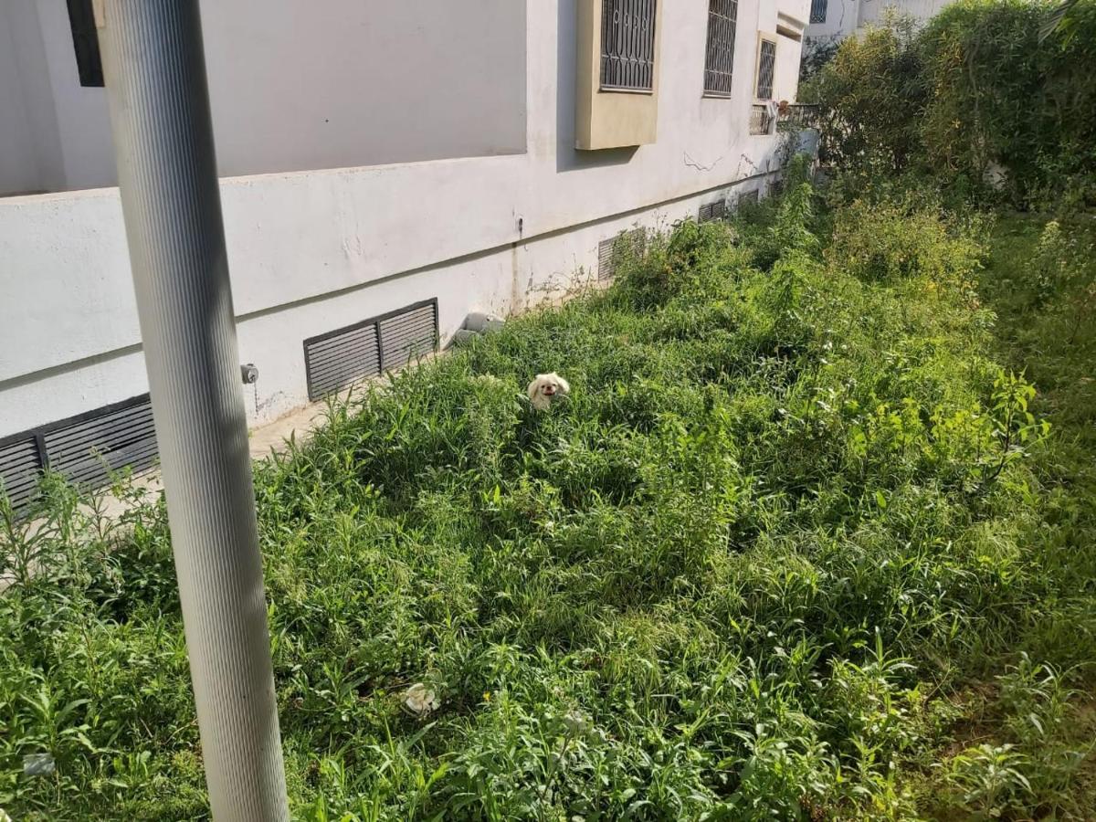 Ideal Appart Ain Zaghouan Tunis El Aouina Екстер'єр фото